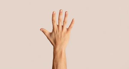 Five Fingers Held Up