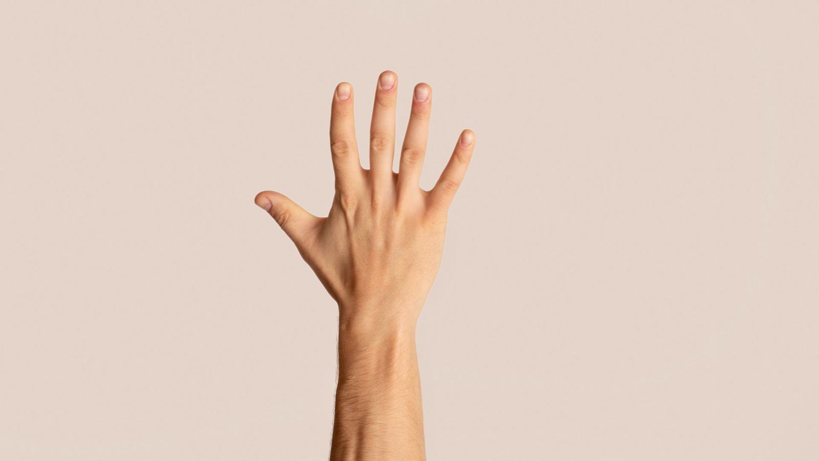 Five Fingers Held Up